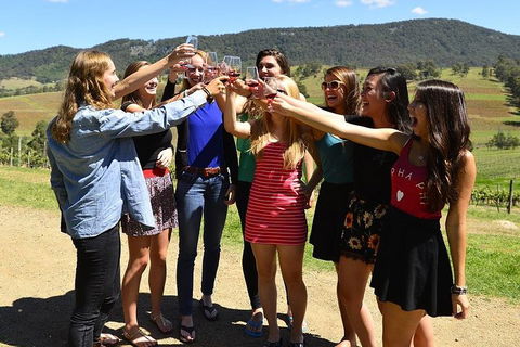 Hunter Valley Wine Tour From Sydney Incl Lunch, Cheese, Chocolate And Distillery - Tourism Canberra 3