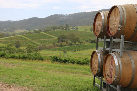 Hunter Valley Wine Tour From Sydney Incl Lunch, Cheese, Chocolate And Distillery - Tourism Canberra 5