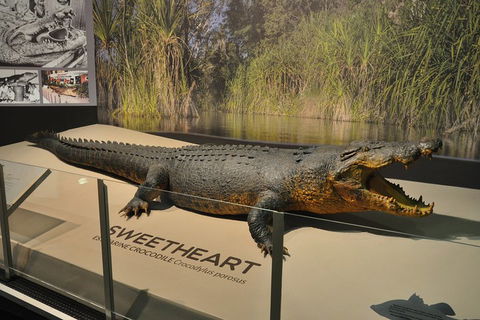 Explore Darwin City Sights Including Key Attractions - Tourism Canberra 2