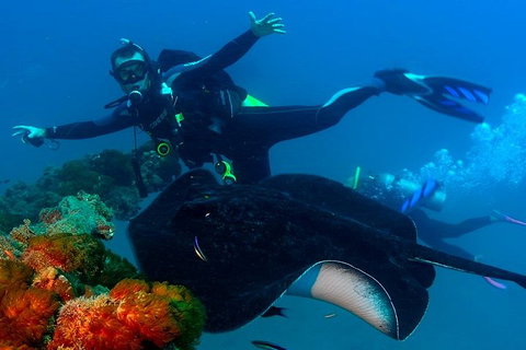 Scuba Dive The S.S. Yongala Wreck On The Great Barrier Reef. - Tourism Canberra 0
