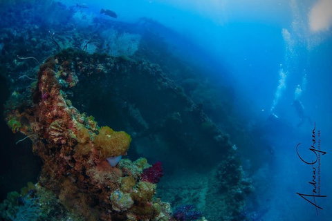 Scuba Dive The S.S. Yongala Wreck On The Great Barrier Reef. - Tourism Canberra 3